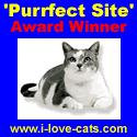 'Purrfect Site' Award